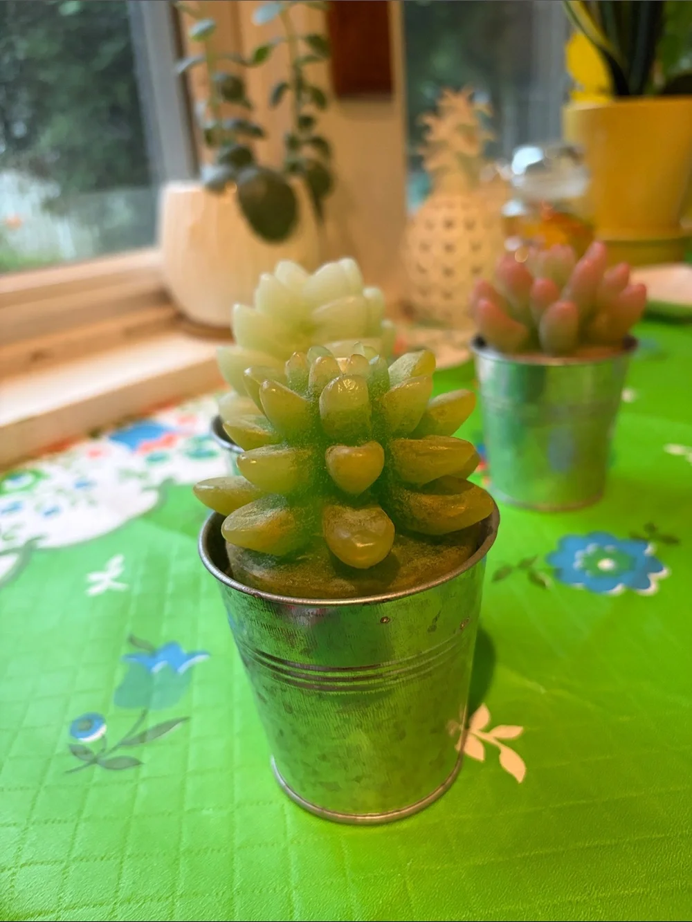 Set of 3 Pottery Barn Succulent Candles